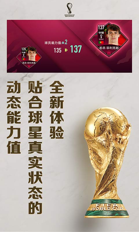 fifa足球世界先锋服