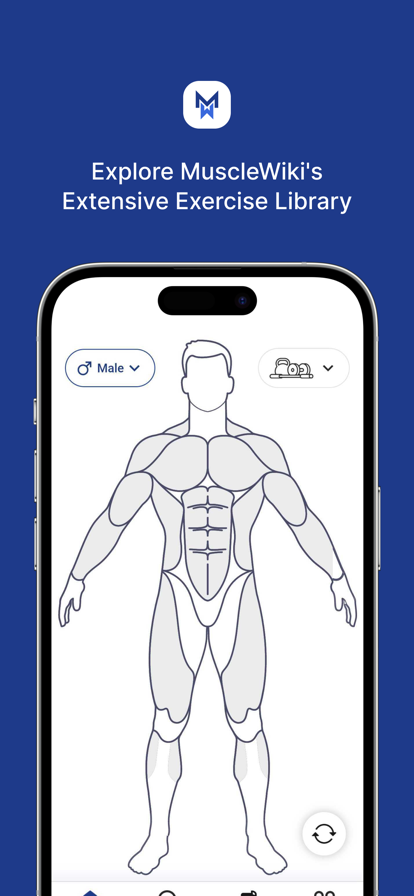 musclewiki中文版